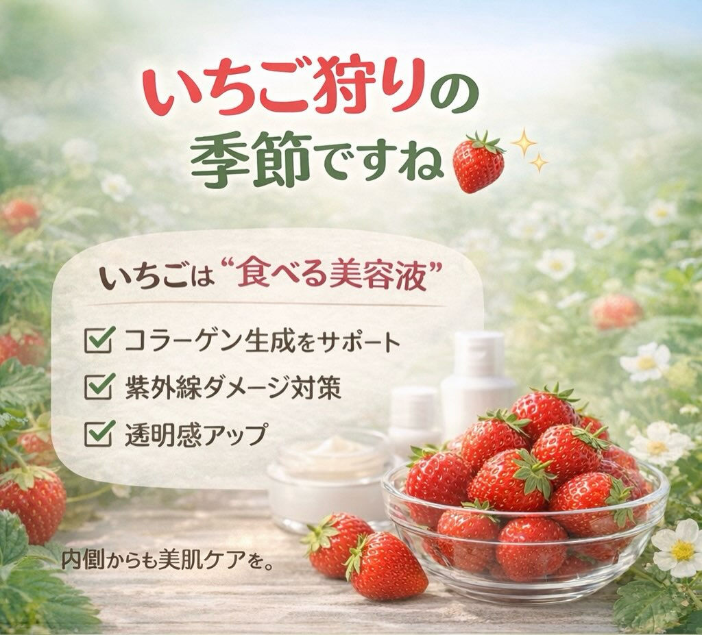 いちご狩りの季節ですね🍓✨
